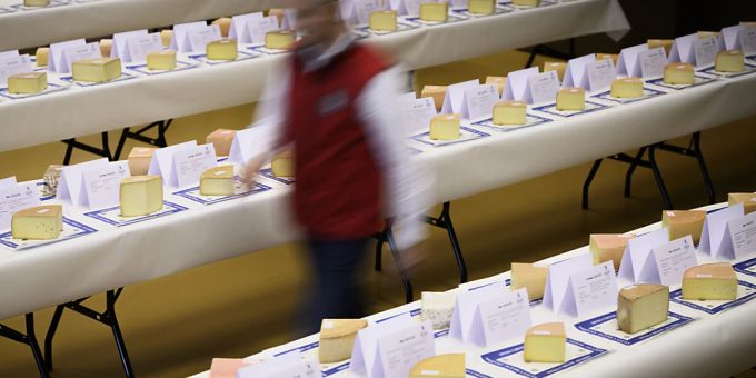Im Wettbewerb stehen 1064 Sorten Käse. cheese awards