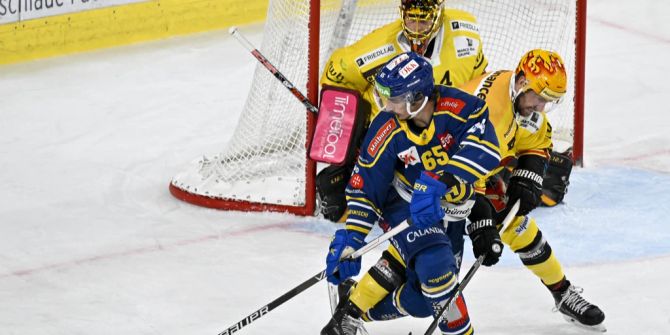 SC Bern