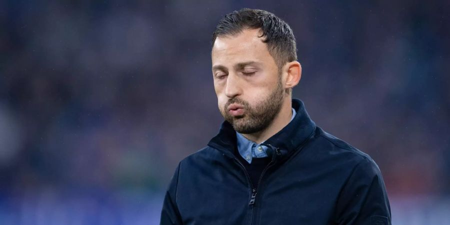 Domenico Tedesco Schalke 04