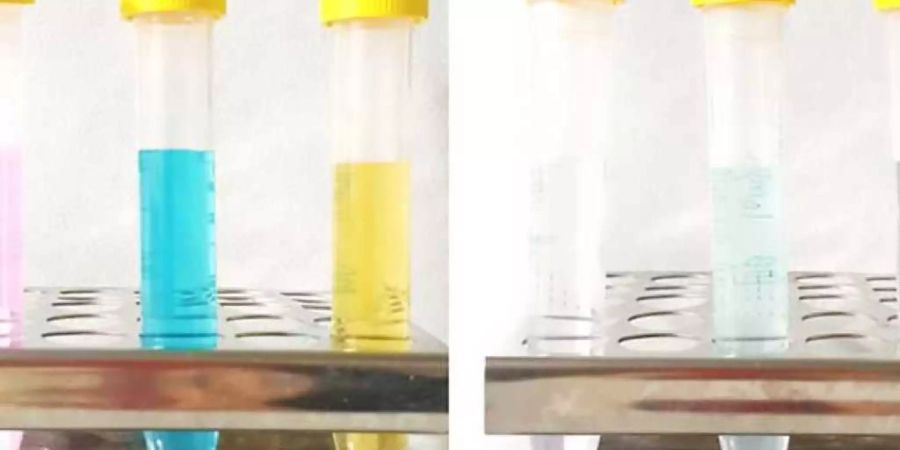 Simsalabim: Links durch Problemstoffe verunreinigtes Wasser, rechts nach der Behandlung mit Nanoparikeln. (zVg)