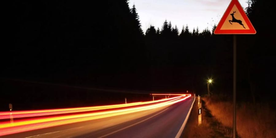 Strasse mit Warnschild Wildwechsel