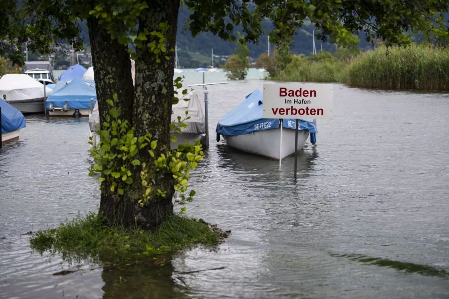 hochwasser thunersee