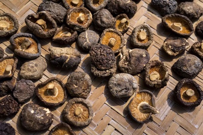 Getrocknete Shiitake Pilze. Shiitake