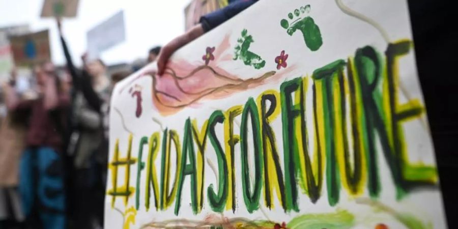 Schild bei einer "Fridaysforfuture"-Demo im Frühjahr 2019. Foto: Sebastian Gollnow/dpa