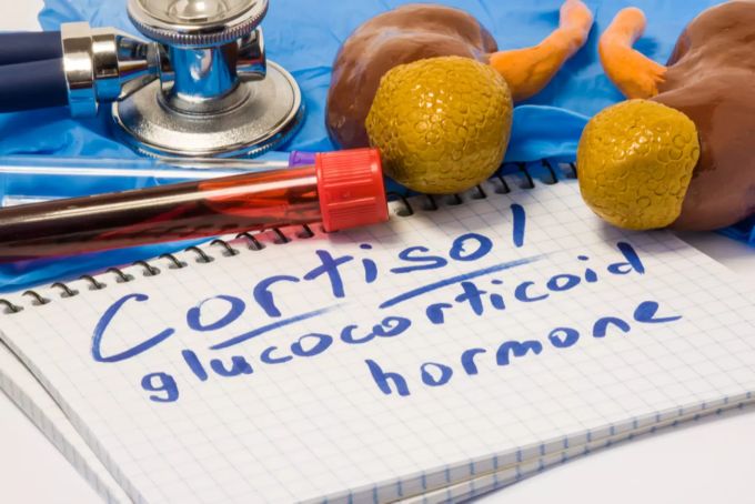 Ein sinkender Kortisolspiegel löst Immunreaktionen aus. Kortisolspiegel