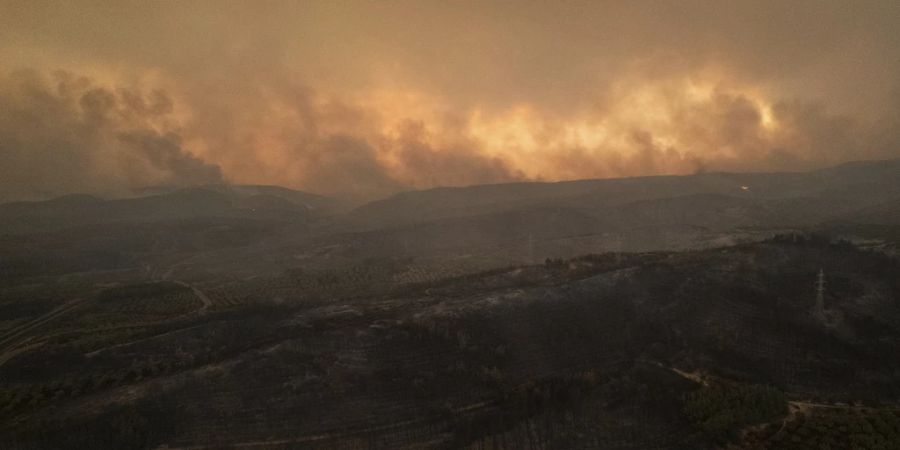 Migranten Feuer Waldbrände