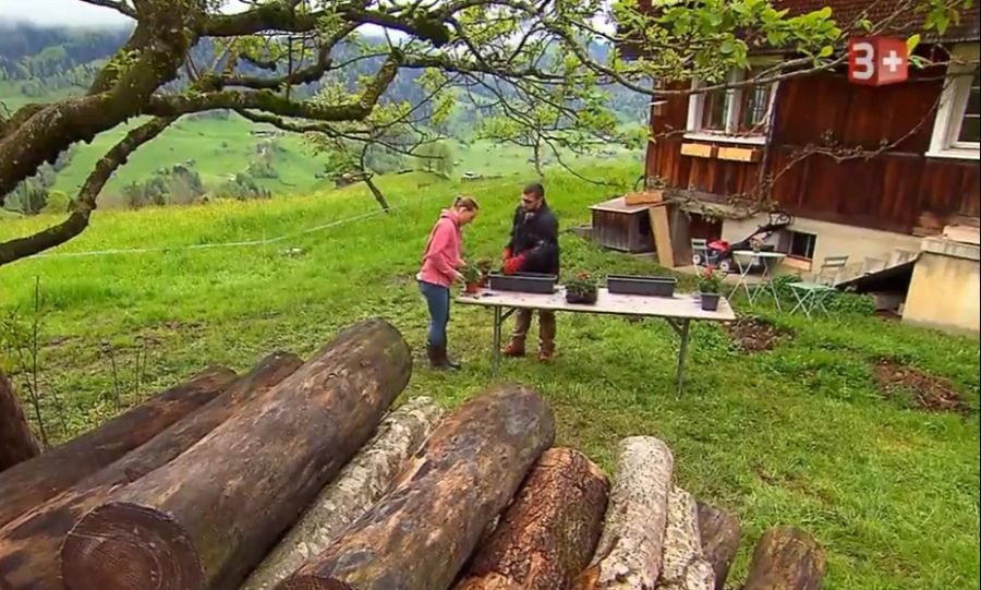 Trotz Abfuhr topfen die beiden ihre Blümchen noch fertig um.