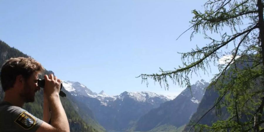 Blick über den Königssee im Nationalpark Berchtesgaden. Foto: Sabine Dobel/dpa