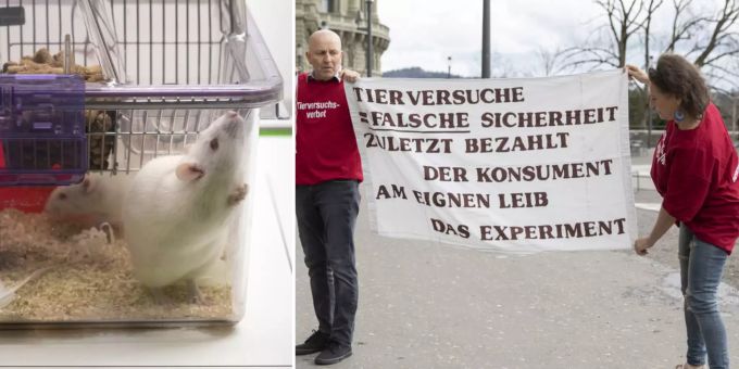 Das Komitee der Initiative «Ja zum Tier- und Menschenversuchsverbot – Ja zu Forschungswegen mit Impulsen für Sicherheit und Fortschritt» will Tier- und Menschenversuche ganz verboten. So wäre auch das Importieren und Exportieren von Produkten, Medikamenten und anderen Mitteln untersagt. Tierversuche Menschenversuche Initiative