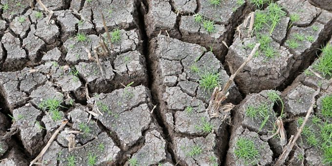 Wetterphänomen El Niño ist laut da