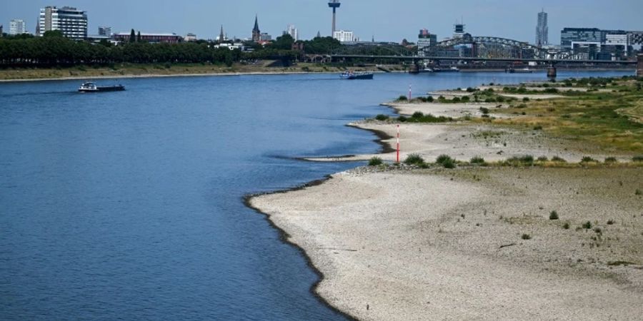 Industrieverband BDI fürchtet Stillstand der Binnenschifffahrt wegen Niedrigwasser