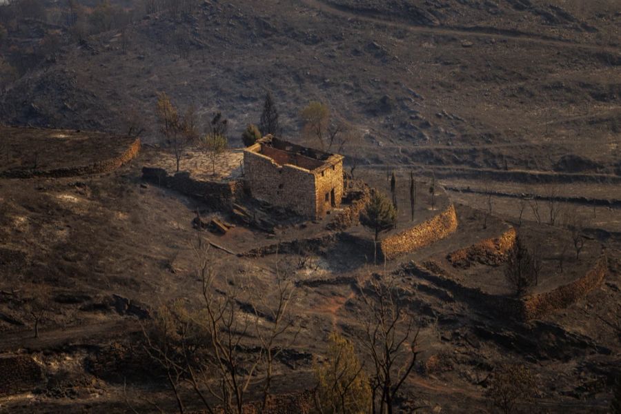 Auch in Spanien hinterlassen Waldbrände eine Schneise der Verwüstung.