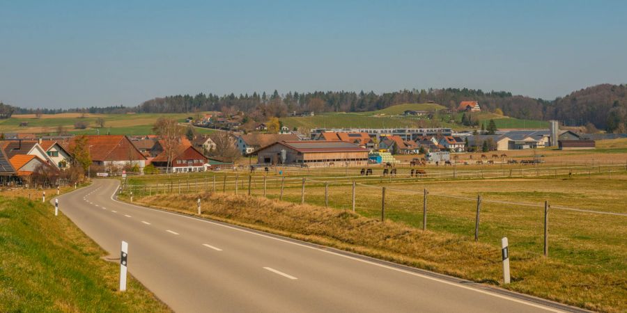 Die Gütighuserstrasse Richtung Ossingen im Zürcher Weinland.