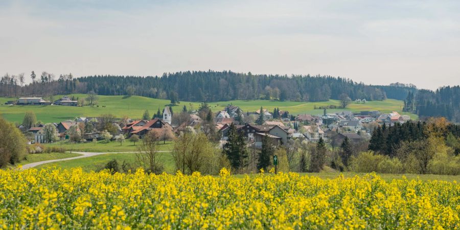 Blick auf die Gemeinde Wildberg im Bezirk Pfäffikon ZH.