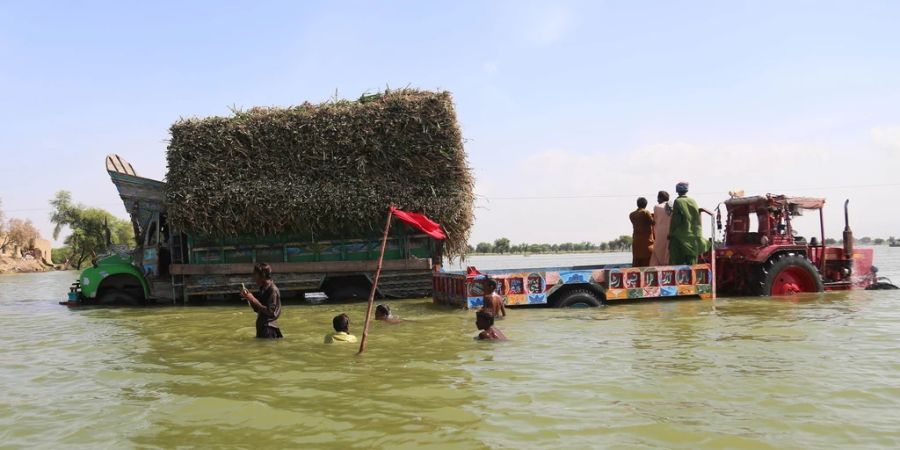 Pakistan Überflutungen Provinz Sindh