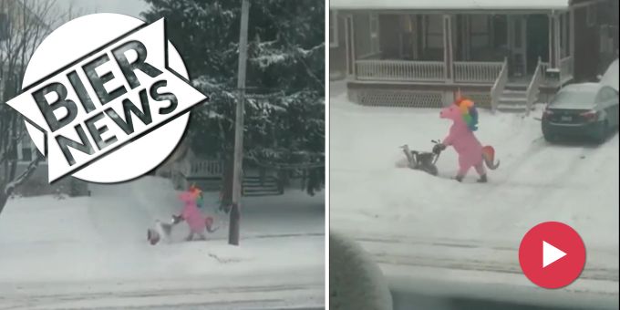 Freude in Ohio - Einhorn befreit einen Parkplatz vom vielen Schnee