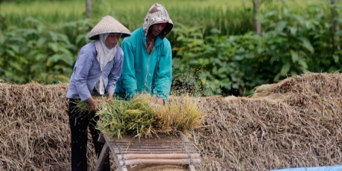 Während des Unabhängigkeitskriegs in Indonesien verübte die Niederlande strukturelle Gewalt – auch am Volk. indonesien