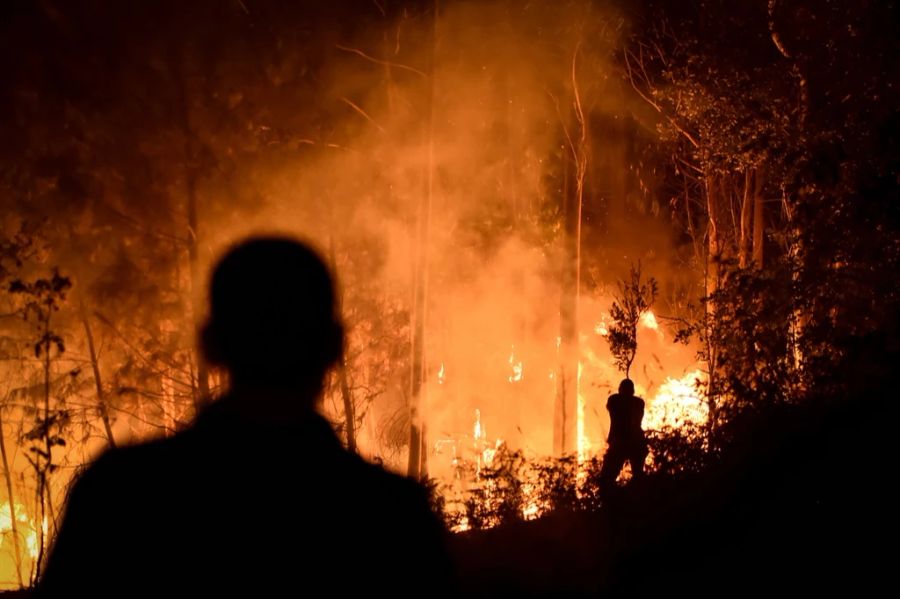 Aufgrund der aktuellen Hitzewelle sind in Portugal zahlreiche Waldbrände ausgebrochen.