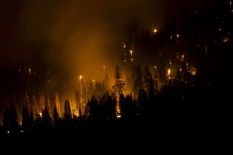 Das Feuer im Yosemite-Nationalpark brach am 7. Juli aus. Der Grund ist noch nicht klar.