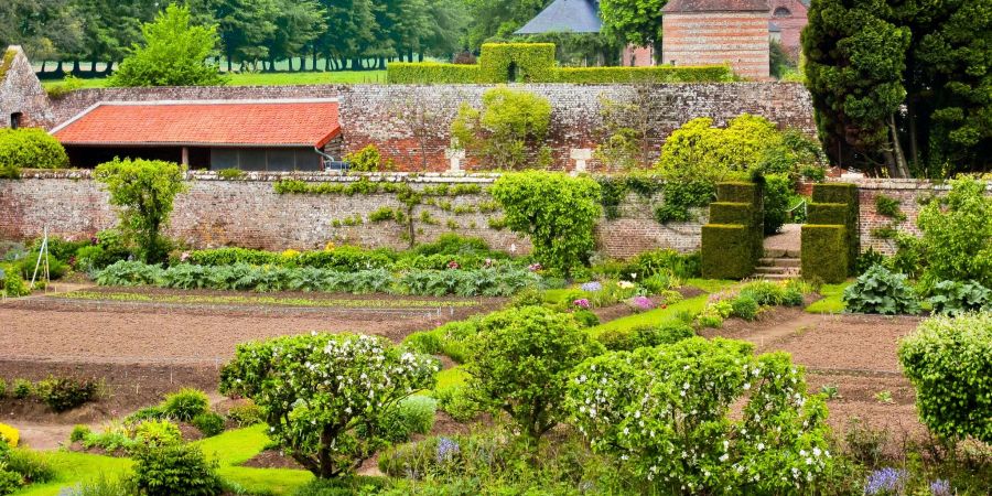 Im Park des Château de Miromesnil in der Normandie wird die Tradition des Küchengartens gepflegt.