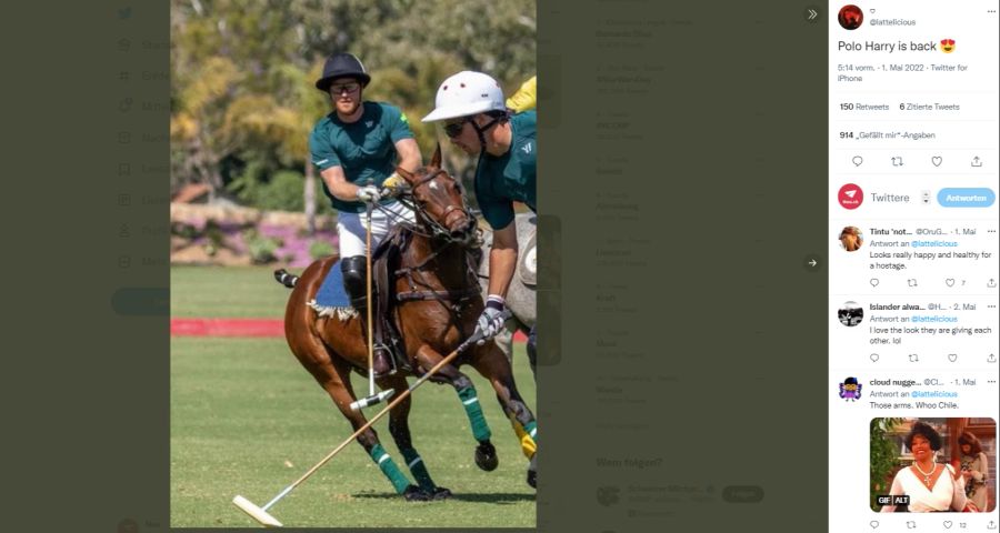 Polo gehört zu den liebsten Hobbys von Prinz Harry.