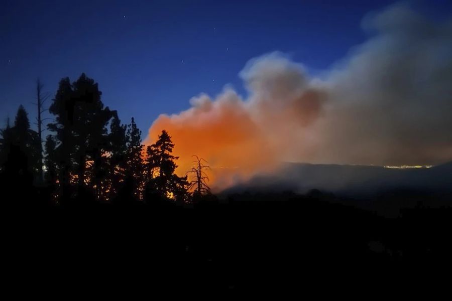 Die Flammen kamen den berühmten Riesenmammutbäumen gefährlich nahe.