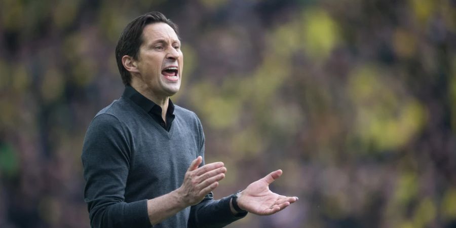 Benfica Lissabon Roger schmidt
