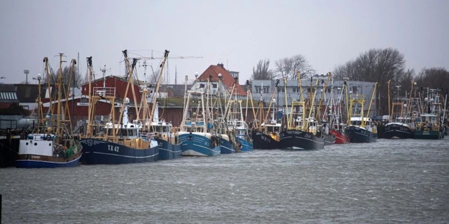 Hafen in Büsum