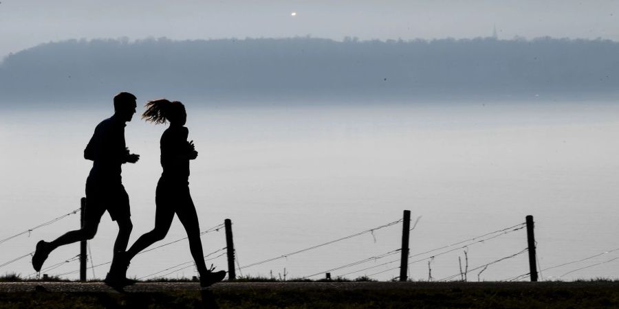 Jogger laufen in Richtung Meersburg, im Dunst dahinter liegt die Stadt Konstanz am Bodensee.