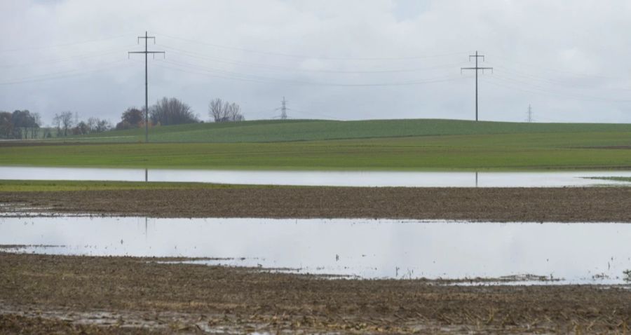 Wegen des vielen Regens können die Feldarbeiten nicht richtig gemacht werden. (Bild vom November 2012)