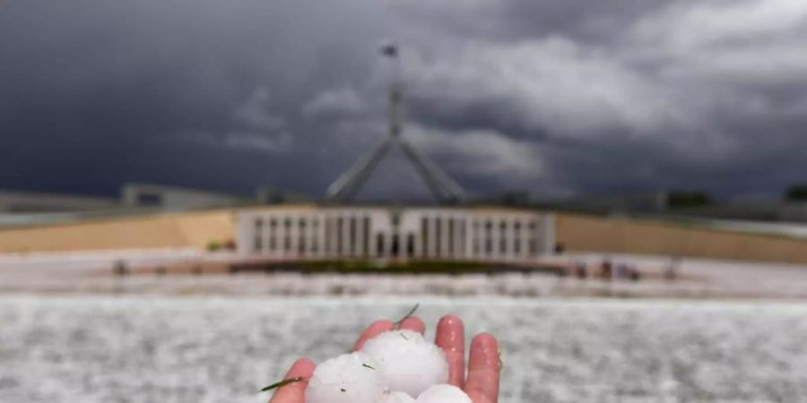 Auf einer Hand liegen Golfballgrosse Hagelkörner, die bei einem schweren Hagelsturm vor dem Parlamentsgebäude niedergegangen sind. Foto: Mick Tsikas/AAP/dpa