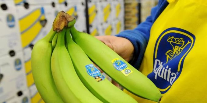 Chiquita hat in Panama rund 7000 Mitarbeitende. (Archivbild) Chiquita