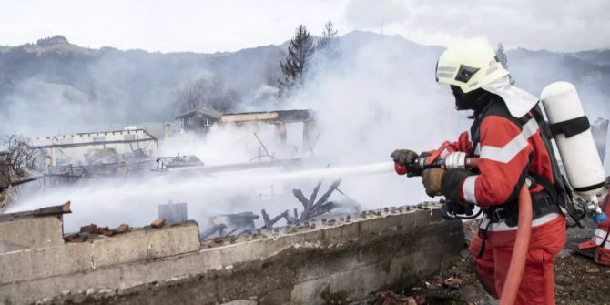 zürcher feuerwehr sabine