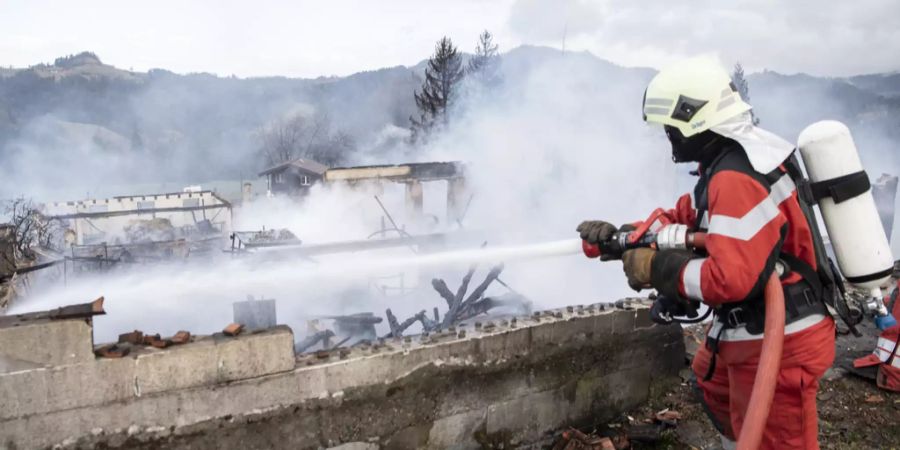 zürcher feuerwehr sabine