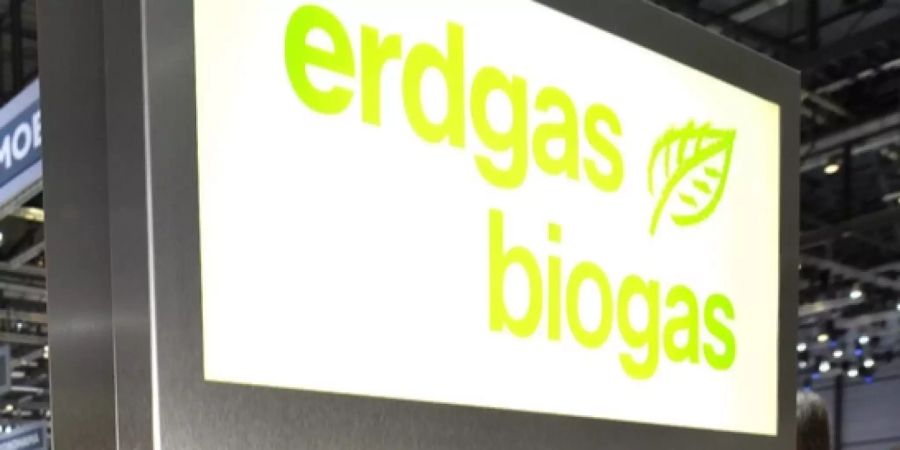 erdgas