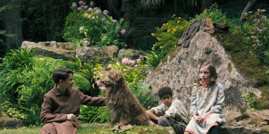 Colin (Edan Hayhurst (l), Dickon (Amir Wilson) und Mary (Dixie Egerickx) erforschen den geheimen Garten. Foto: Studiocanal/dpa