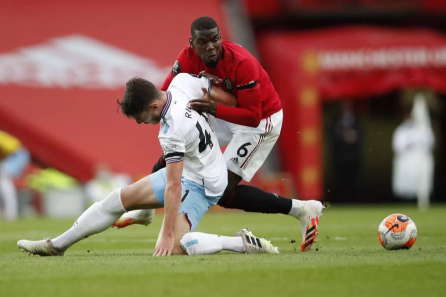 Auch Paul Pogba soll sich einen Hund zugelegt haben.