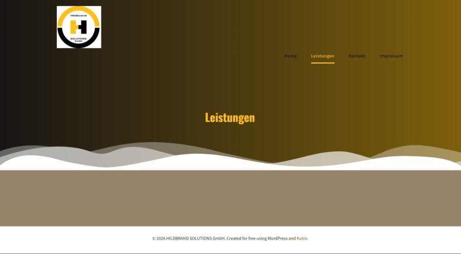 Auch unter «Leistungen» werden keine Inhalte aufgeführt.