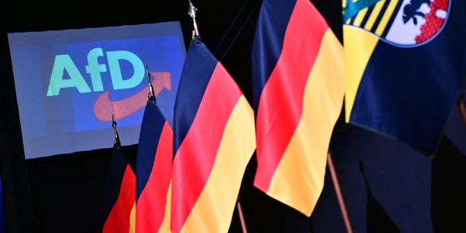 AfD Sachsen-Anhalt