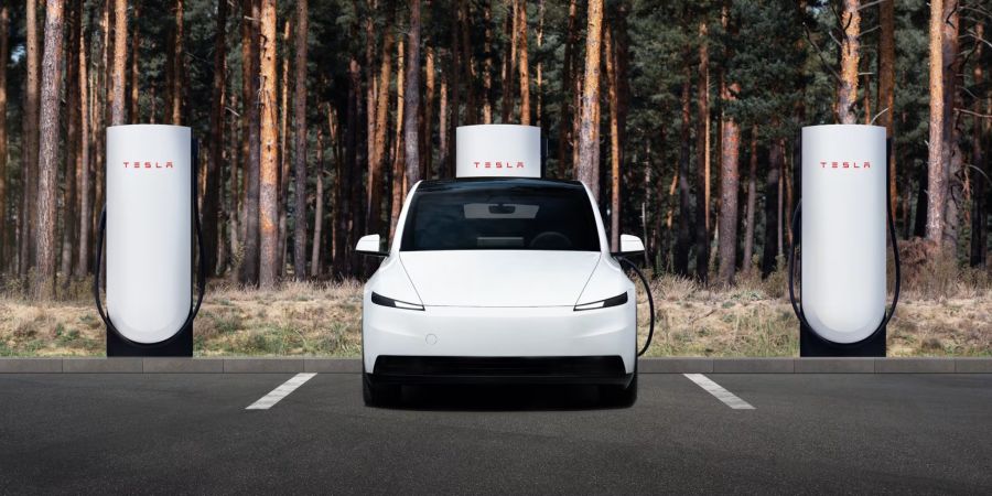Tesla Model Y Standard