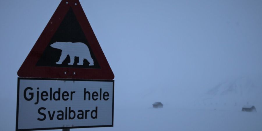 ARCHIV - Ein Verkehrsschild warnt an einer Straße auf der nordnorwegischen Inselgruppe Spitzbergen vor Eisbären. Foto: Steffen Trumpf/dpa/Archivbild