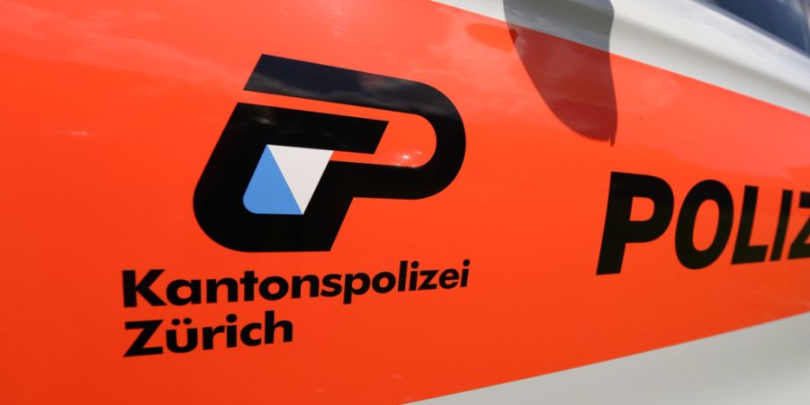 Die Kantonspolizei Zürich hat zwei Betrüger festgenommen. Sie reinigten bei einem Rentner zu einem Wucherpreis den Vorplatz. Sie wollten 10'000 Franken. (Symbolbild)