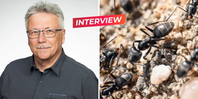 zülle interview