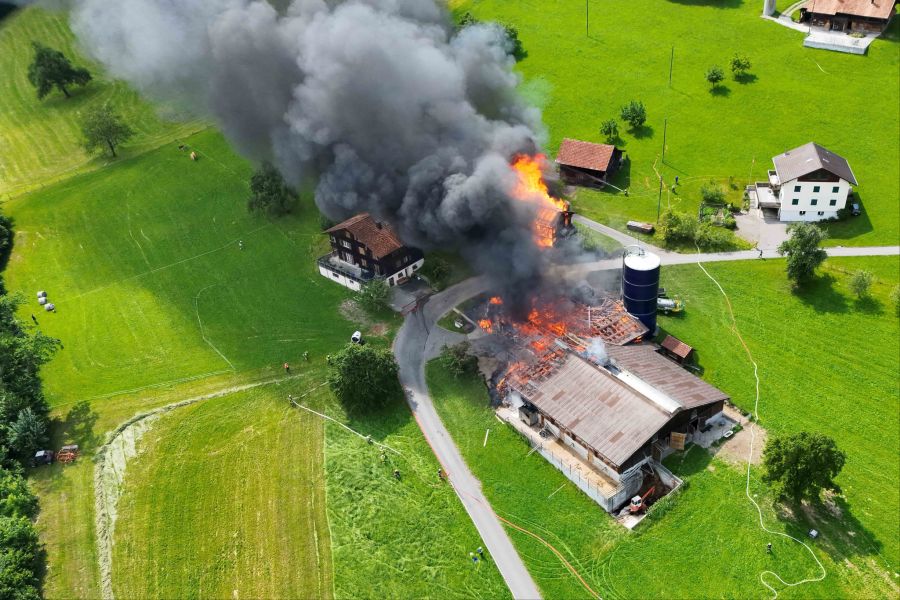 Brand OW