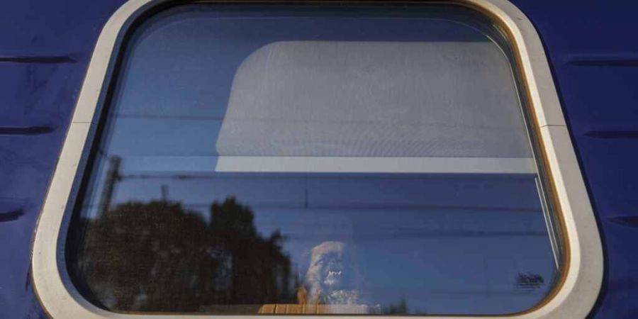 ARCHIV - Ein Hund schaut während einer Evakuierung aus dem Fenster eines Zuges am Bahnhof. Foto: Evgeniy Maloletka/AP/dpa