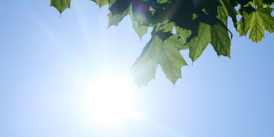 Die frühsommerlichen Wetterbedingungen haben in der Zentralschweiz zu hohen Ozonbelastungen geführt. (Symbolbild)