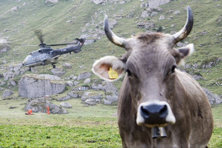 Auf manche Alpen musste zudem Wasser mit Super-Pumas geflogen werden.
