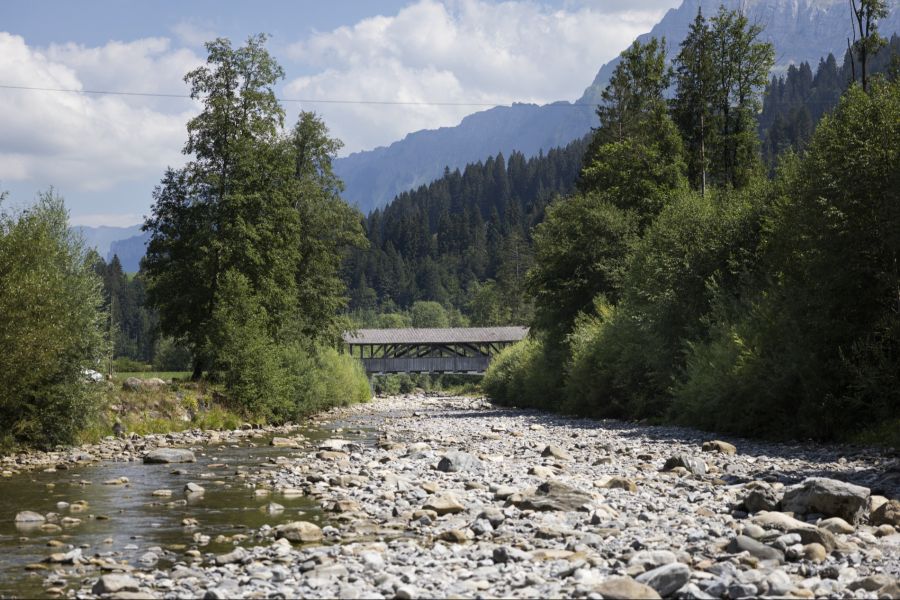 In den letzten Wochen haben sich in den meisten Regionen grosse 30-Tage-Niederschlagsdefizite aufgebaut.