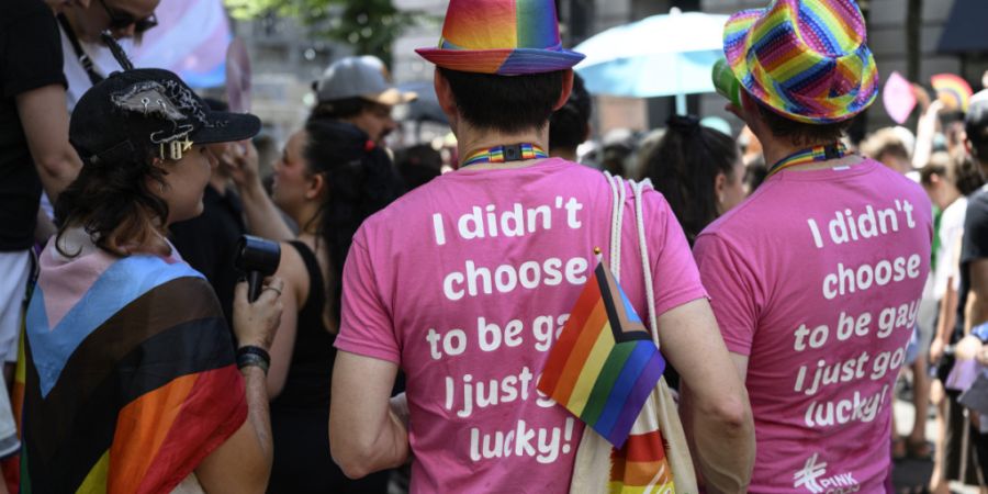 In seinem Bericht bezieht sich der Bundesrat auf eine Studie, in der neun Prozent der befragten lesbischen, schwulen oder bisexuellen Personen angaben, mindestens einmal mit Versuchen e...
