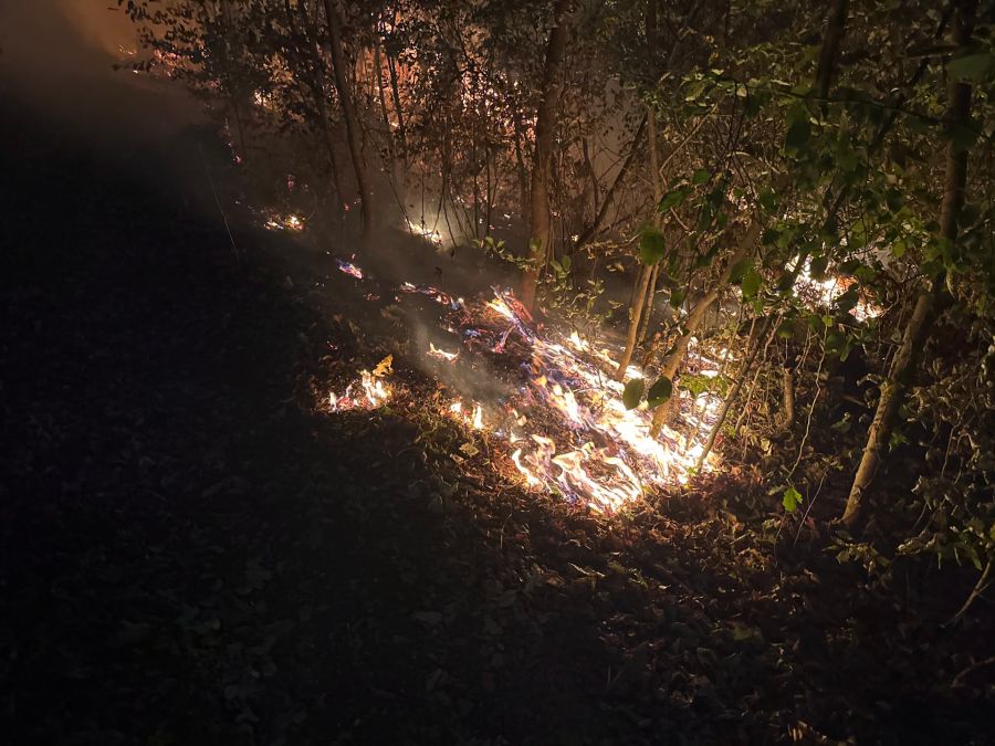 Die Feuerwehr Chestenberg machte diese Fotos vom Waldbrand in Möriken AG.